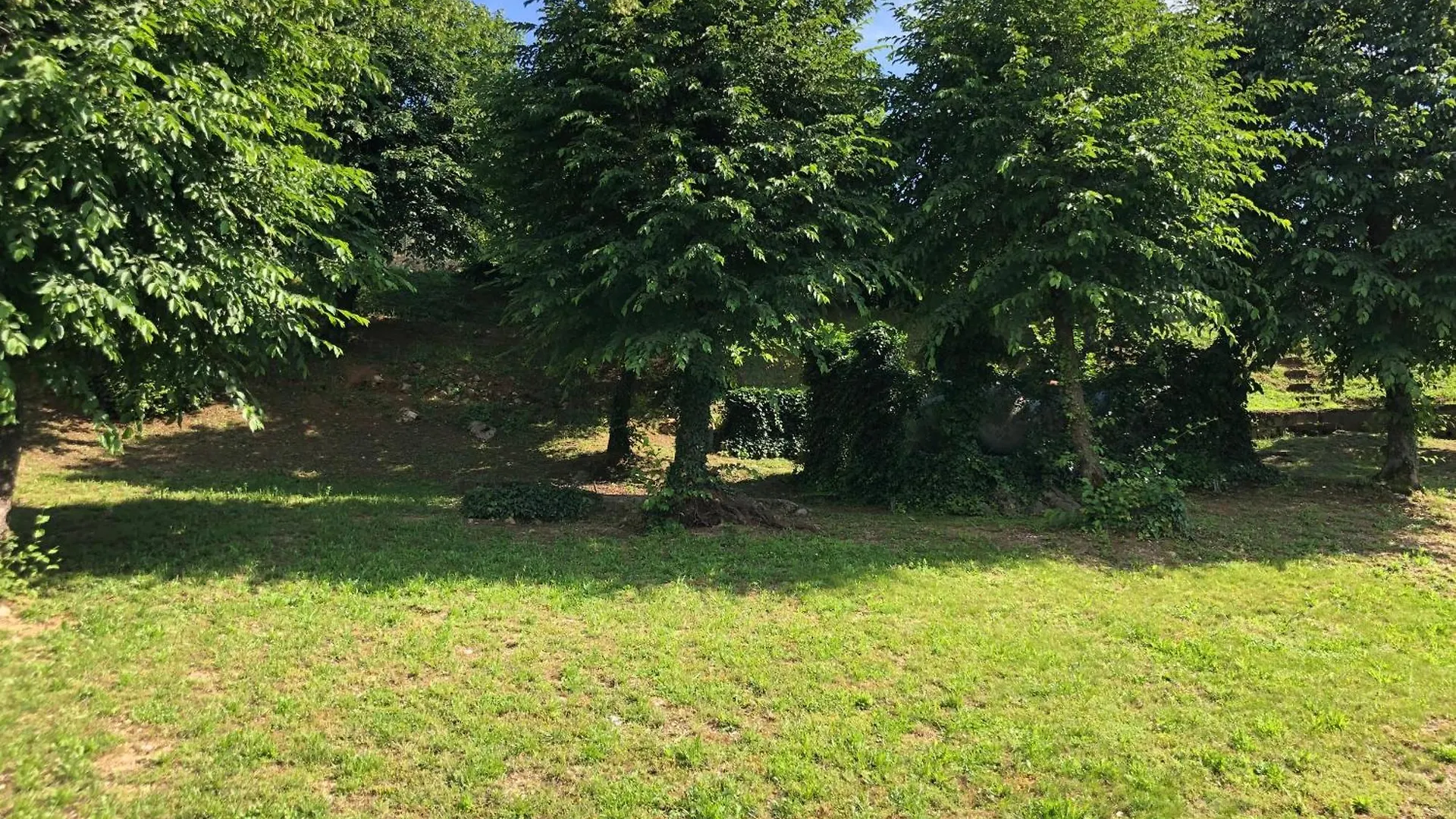 ベッド・アンド・ブレックファスト Flat With Lake View E Garden ソイアーノ・デル・ラーゴ
